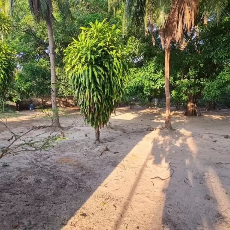 Imóvel em Jangurussu