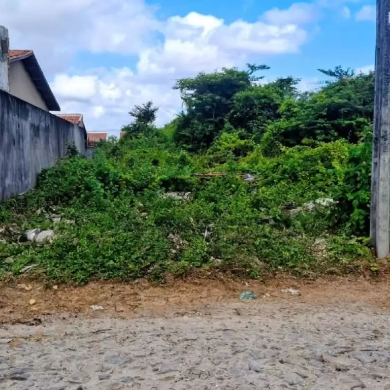 Imóvel em Parque Dom Pedro