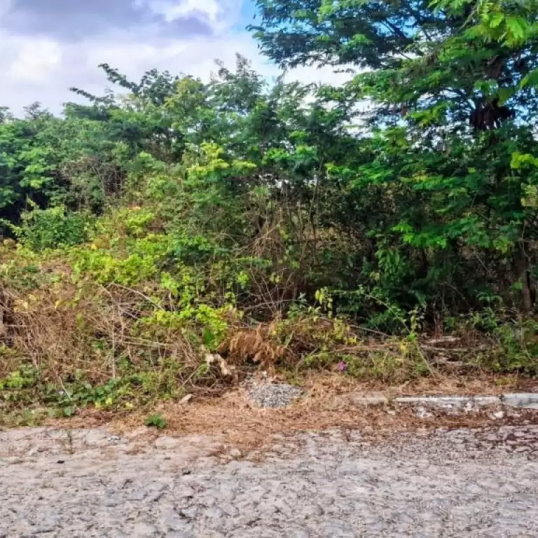 Imóvel em Parque Dom Pedro