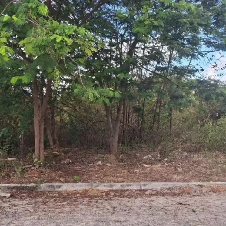 Imóvel em Parque Dom Pedro